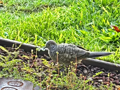 Photo of the Day: Morning Mama